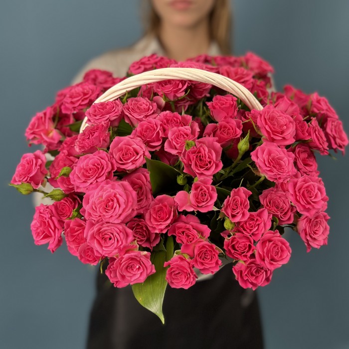 25 кустовых малиновых роз Глория в корзине